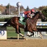 Pimlico Stakes and Belmont Selections for 5/16/2025 (Friday)
