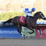 Belmont at Aqueduct Selections for 6/22/2025 (Sunday)