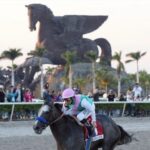 Gulfstream Park selections for 1/24/2026 (Pegasus Day)